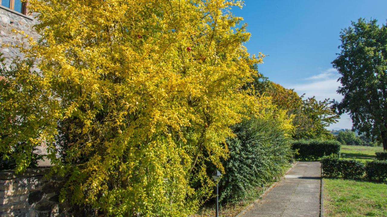 Villa Monteporzano Orvieto Oda fotoğraf