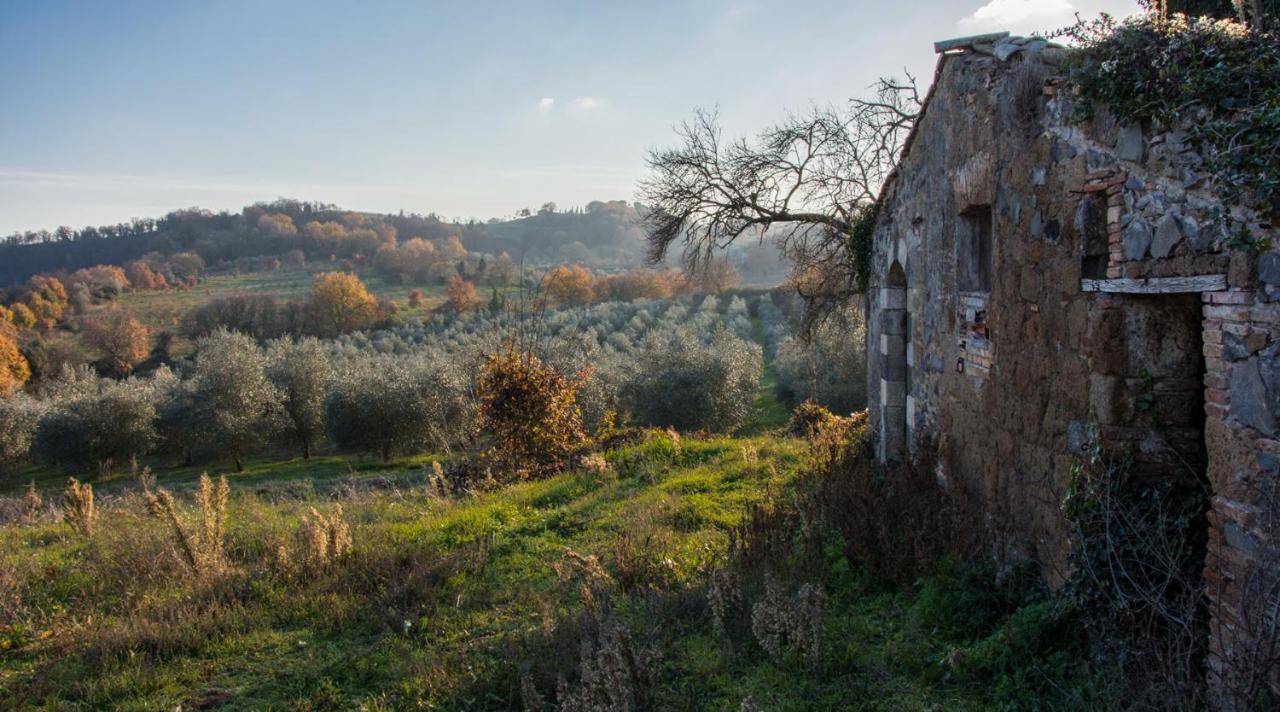 Villa Monteporzano Orvieto Oda fotoğraf